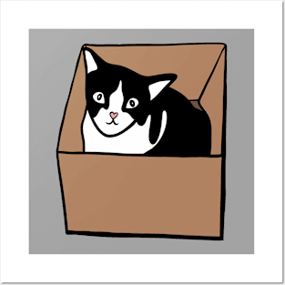 Cat in box Posters and Art